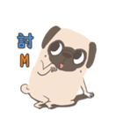 Pug＆Boston Terrier（個別スタンプ：22）