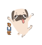 Pug＆Boston Terrier（個別スタンプ：27）