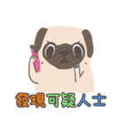 Pug＆Boston Terrier（個別スタンプ：36）