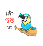 Macaws（個別スタンプ：33）