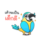 Macaws（個別スタンプ：38）