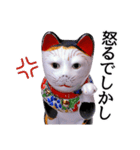 リアル招き猫（個別スタンプ：10）