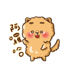 Little crazy Pomeranian ballbe（個別スタンプ：1）