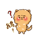 Little crazy Pomeranian ballbe（個別スタンプ：5）