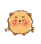 Little crazy Pomeranian ballbe（個別スタンプ：15）