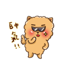 Little crazy Pomeranian ballbe（個別スタンプ：16）