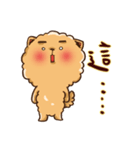 Little crazy Pomeranian ballbe（個別スタンプ：18）