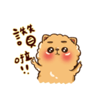 Little crazy Pomeranian ballbe（個別スタンプ：22）