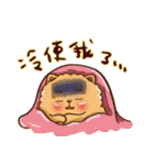 Little crazy Pomeranian ballbe（個別スタンプ：31）