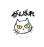 ペンネコ（個別スタンプ：34）