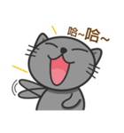 KuBi Cat（個別スタンプ：3）