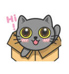 KuBi Cat（個別スタンプ：16）