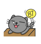 KuBi Cat（個別スタンプ：17）