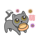KuBi Cat（個別スタンプ：19）