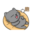 KuBi Cat（個別スタンプ：23）
