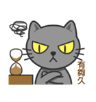 KuBi Cat（個別スタンプ：24）