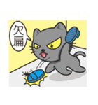 KuBi Cat（個別スタンプ：31）