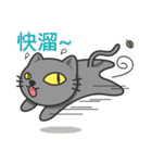 KuBi Cat（個別スタンプ：32）