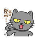 KuBi Cat（個別スタンプ：35）
