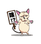 Sphynx-GuLu（個別スタンプ：1）