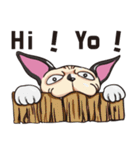 Sphynx-GuLu（個別スタンプ：2）