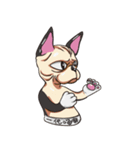 Sphynx-GuLu（個別スタンプ：4）