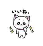 白ねこハムハムの日常（個別スタンプ：1）