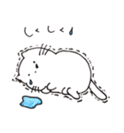 ぽぽにゃん（個別スタンプ：1）