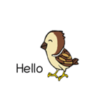 Sparrow bird（個別スタンプ：1）