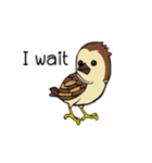 Sparrow bird（個別スタンプ：2）