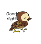 Sparrow bird（個別スタンプ：6）