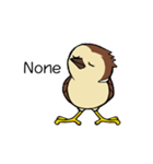 Sparrow bird（個別スタンプ：7）