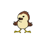 Sparrow bird（個別スタンプ：8）