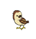 Sparrow bird（個別スタンプ：9）