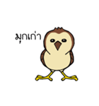Sparrow bird（個別スタンプ：14）