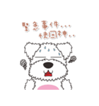 Naughty Ma - Emoticons（個別スタンプ：34）