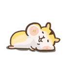 Hamster JingJing（個別スタンプ：1）