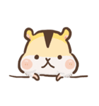 Hamster JingJing（個別スタンプ：2）