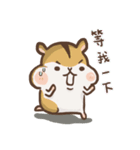 Hamster JingJing（個別スタンプ：7）