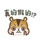 Hamster JingJing（個別スタンプ：9）