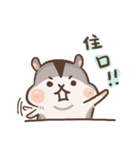 Hamster JingJing（個別スタンプ：18）