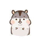 Hamster JingJing（個別スタンプ：25）