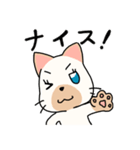 ちょいやんちゃ猫（個別スタンプ：1）