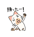 ちょいやんちゃ猫（個別スタンプ：13）