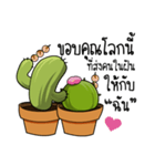 Arun and Yong (cactus lovers)（個別スタンプ：2）