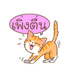 Happy pet By CAH（個別スタンプ：9）