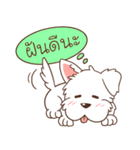 Happy pet By CAH（個別スタンプ：27）