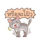 Happy pet By CAH（個別スタンプ：37）