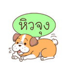 Happy pet By CAH（個別スタンプ：38）