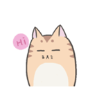 Calm Meow（個別スタンプ：1）